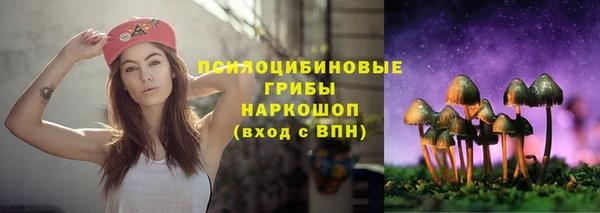 скорость Бронницы