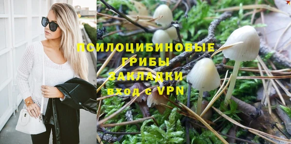скорость Бронницы