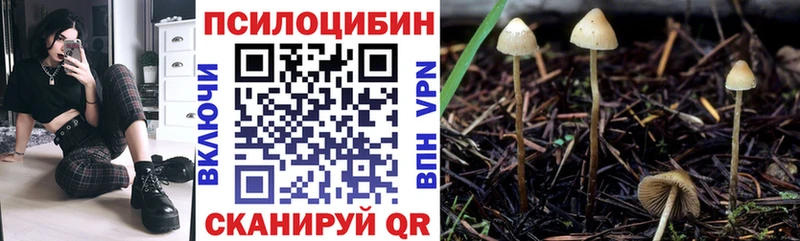 Псилоцибиновые грибы GOLDEN TEACHER  где купить наркоту  Нелидово 